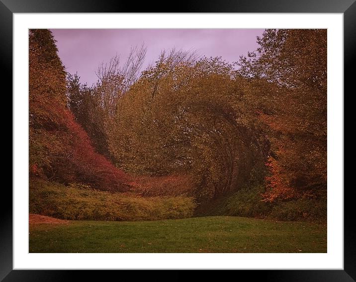Autumn landscape  Framed Mounted Print by Rachael Smith