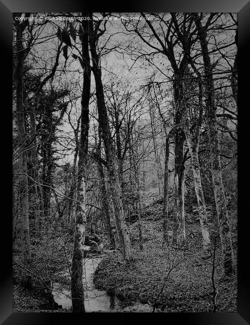 Black and white woods  Framed Print by Rachael Smith