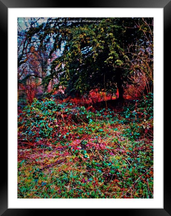 Wood walks  Framed Mounted Print by Rachael Smith