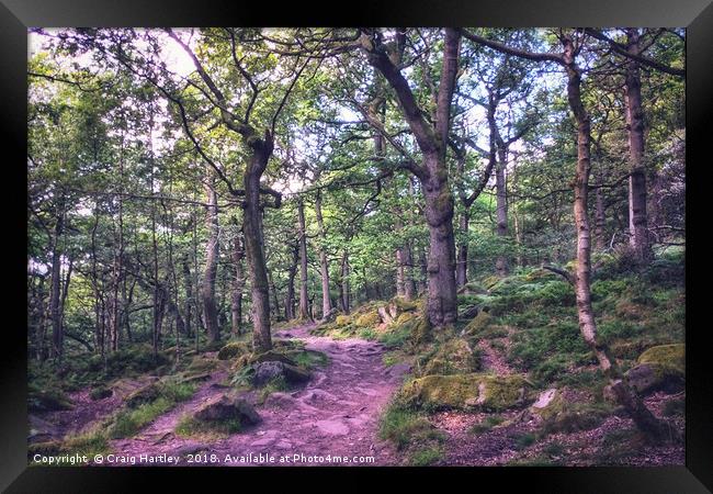  A walk through Padley Gorge Framed Print by Craig Hartley