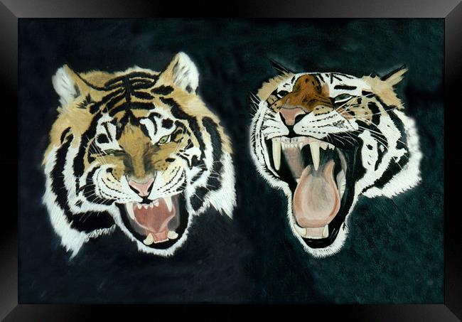TWO SIBERIAN TIGERS Framed Print by Dave Hellyer