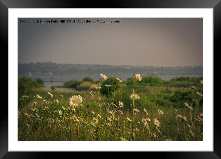 View at the Cardiff Bay  Framed Mounted Print by NKH10 Photography