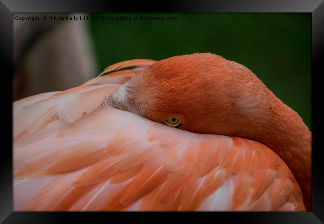 Evil Eye Watching Framed Print by NKH10 Photography