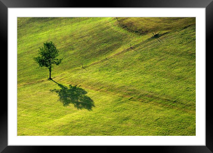 shadow from a tree Framed Mounted Print by John Stuij