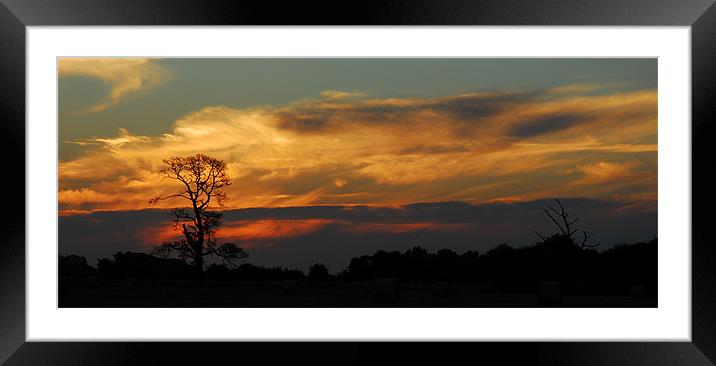 Australian Outback Sunset Framed Mounted Print by Lisa Shotton