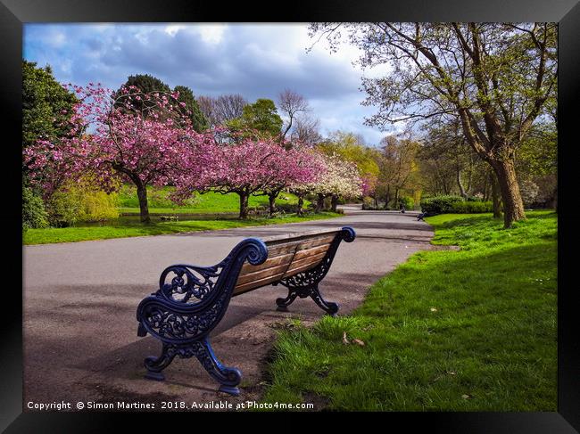 Watching the Blossom Trees Framed Print by Simon Martinez