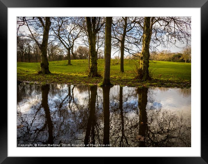 A Large Pool of Reflection Framed Mounted Print by Simon Martinez