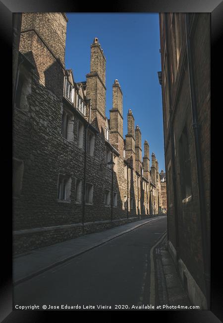 Trinity Lane Framed Print by Eduardo Vieira