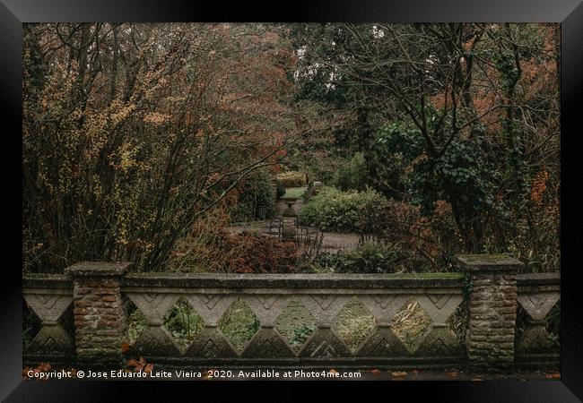 Courtyard Botanical Gardens Framed Print by Eduardo Vieira