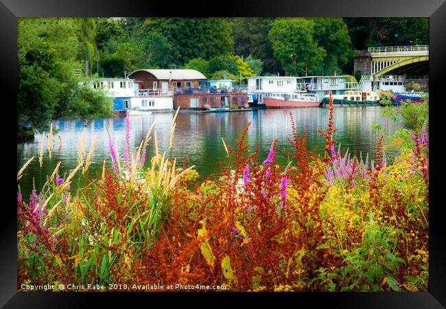 Colourful Richmond riverside along the Thames Framed Print by Chris Rabe