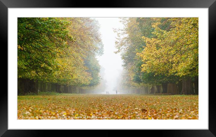 Foggy Park Framed Mounted Print by Chris Rabe