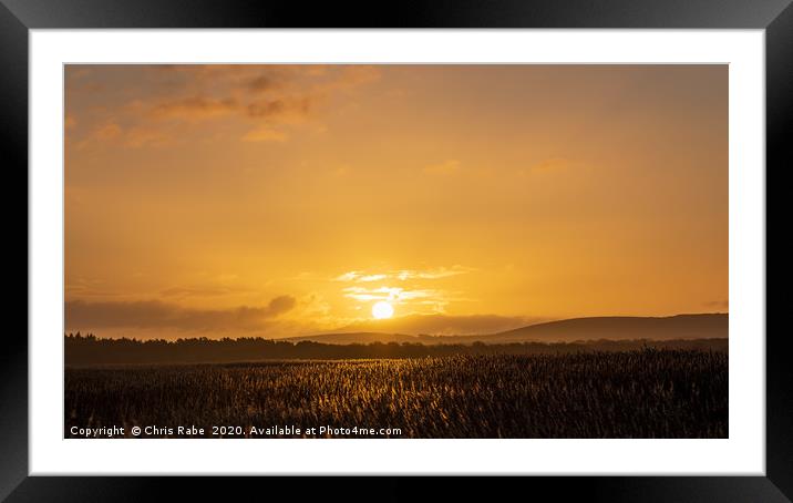 Sunrise over reedbeds from swineham point Framed Mounted Print by Chris Rabe