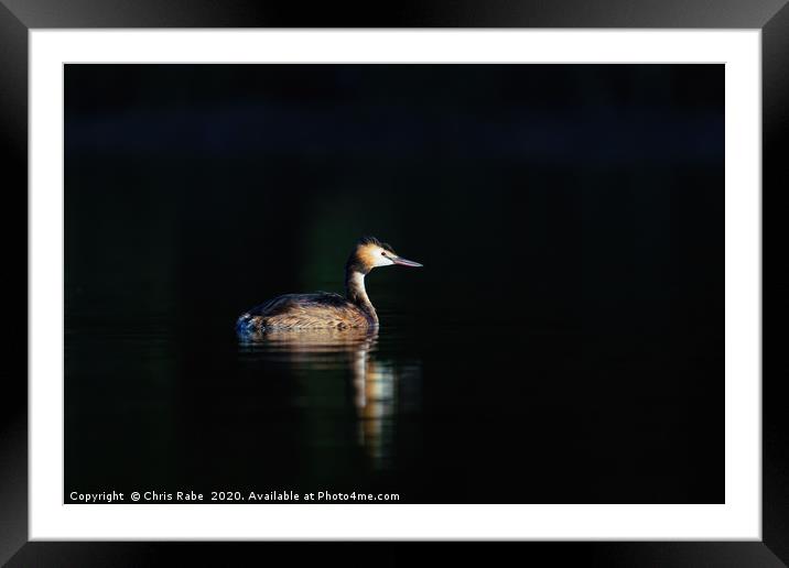 Great Crested Grebe Framed Mounted Print by Chris Rabe