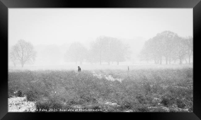 Solitary figure wanders through snow storm Framed Print by Chris Rabe