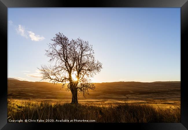 sunrise through a lone tree on Perthshire moors Framed Print by Chris Rabe