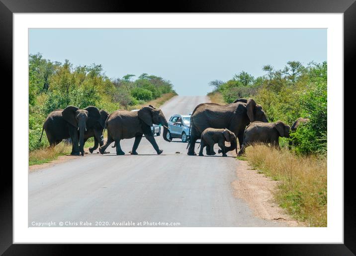 Herd of African Elephant holding up traffic Framed Mounted Print by Chris Rabe
