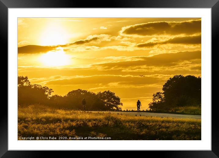 cyclists in richmond park Framed Mounted Print by Chris Rabe