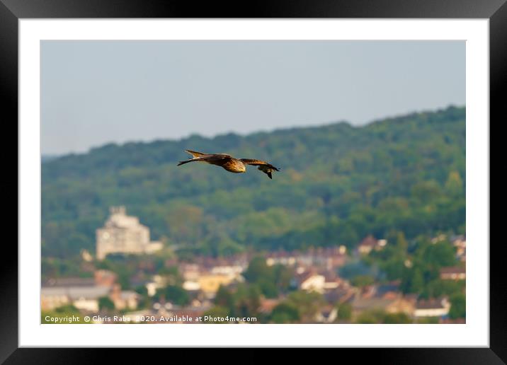 Red Kite over West Wycombe Framed Mounted Print by Chris Rabe