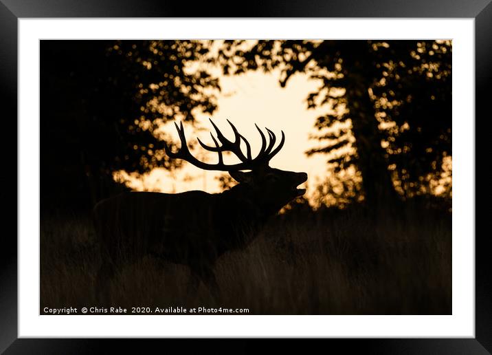 Red deer stag silhouette Framed Mounted Print by Chris Rabe