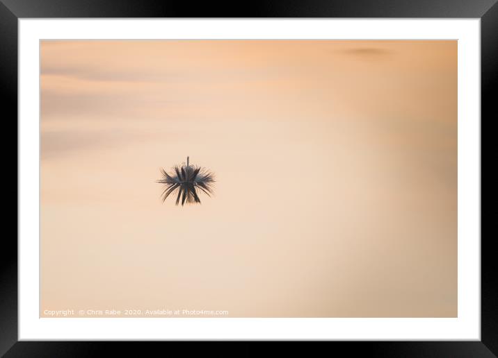 Floating Feather Framed Mounted Print by Chris Rabe