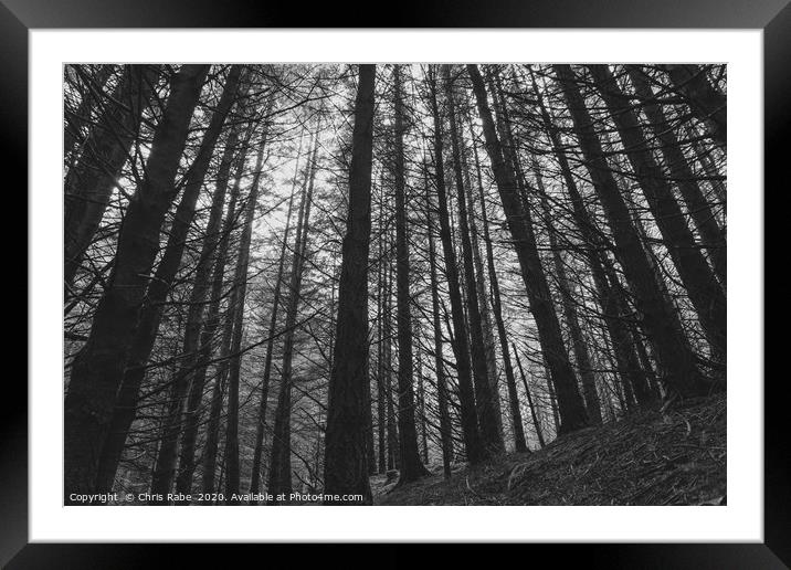 Moody forest  Framed Mounted Print by Chris Rabe