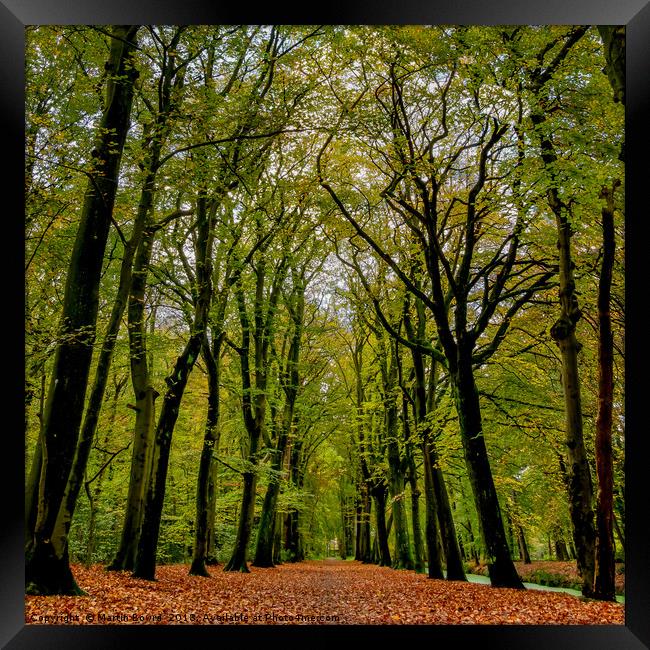 An Autumn landscape scene Framed Print by Martin Bowra