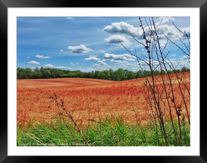 Red Fields Framed Mounted Print by Steve WP