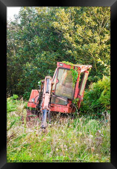 The Old Digger Framed Print by George de Putron