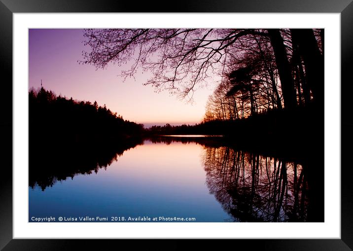 Sweden. Small lake at dusk with trees reflection Framed Mounted Print by Luisa Vallon Fumi