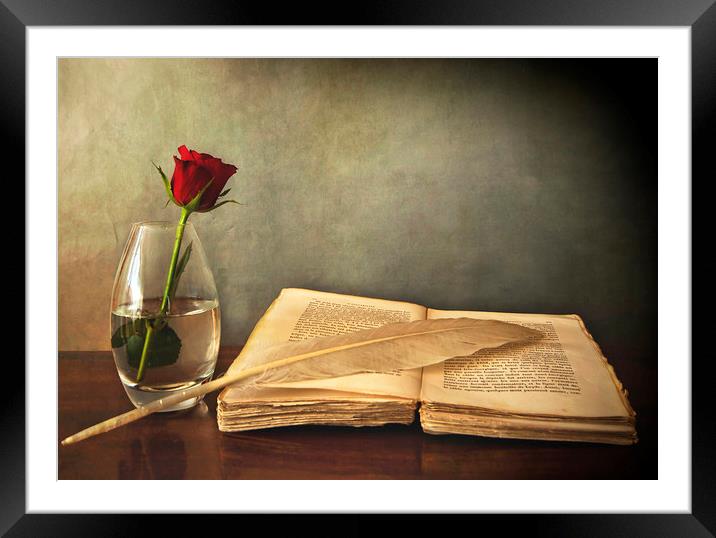 Desk in chiaroscuro with book single red rose and  Framed Mounted Print by Luisa Vallon Fumi