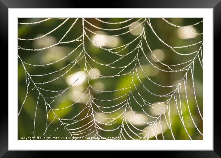 Abstract close-up glistening dew covered cobweb Framed Mounted Print by Claire Smith