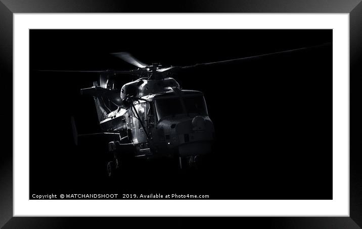 Wildcat out of the shadows Framed Mounted Print by WATCHANDSHOOT 