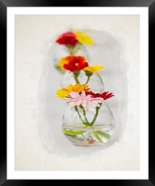Aligned flowers on table in watercolor Framed Mounted Print by youri Mahieu