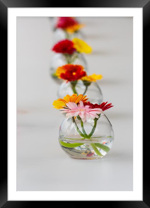 Aligned flowers on table Framed Mounted Print by youri Mahieu