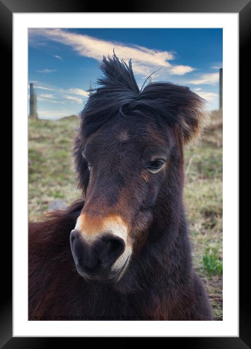Pony in the Wind Framed Mounted Print by Mike Dale