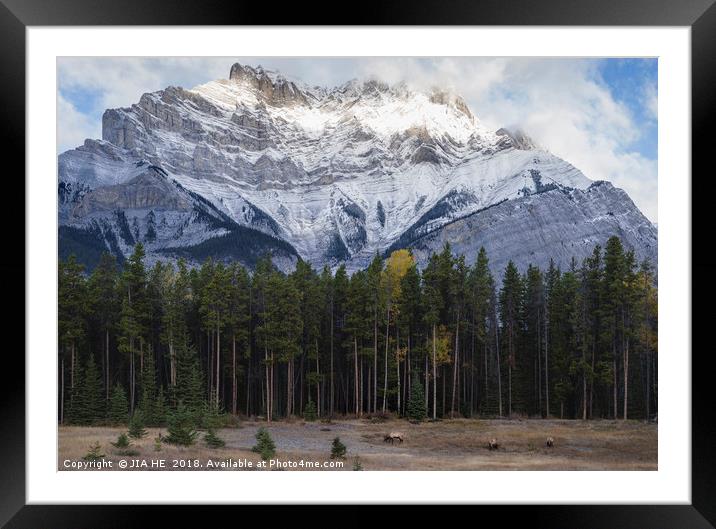 Canadian Rocky Mountains landscape in Autumn Framed Mounted Print by JIA HE