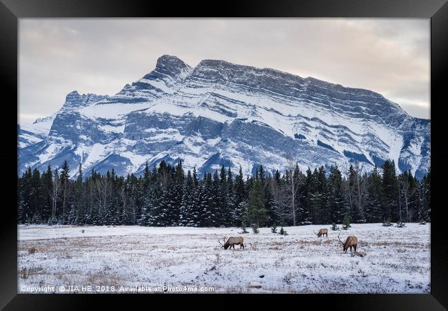 Banff National Park landscape Framed Print by JIA HE