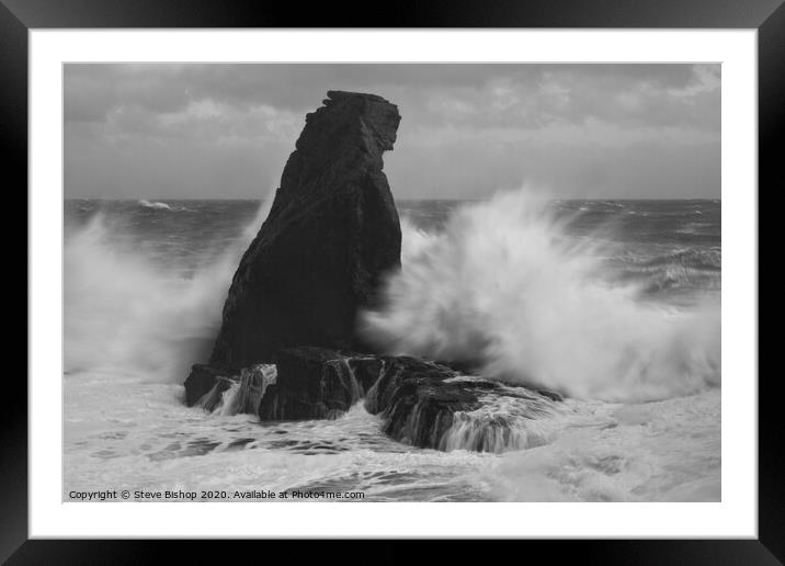 Bracing against the storm - Lizard coast Cornwall Framed Mounted Print by Steve Bishop