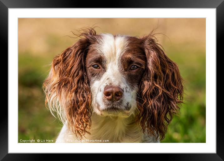 Posing In Deep Thought... Framed Mounted Print by Liz Hore