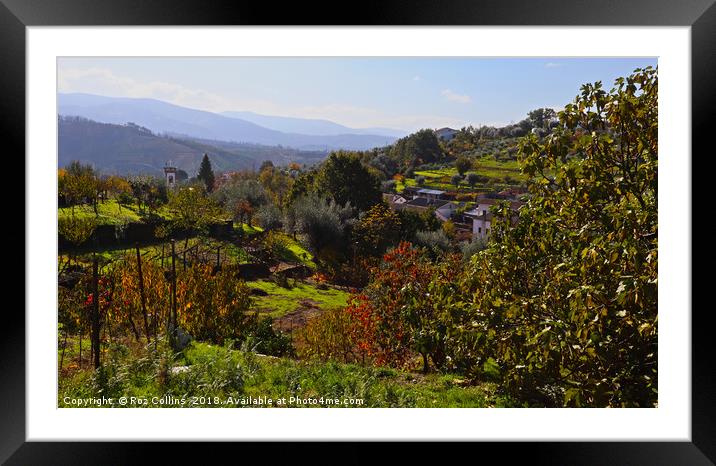 Looking Across Barril de Alva, Portugal Framed Mounted Print by Roz Collins
