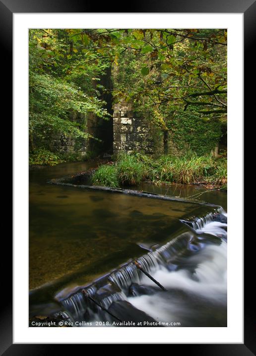Old Gunpowder Works, Kennall Vale, Ponsanooth, Cor Framed Mounted Print by Roz Collins