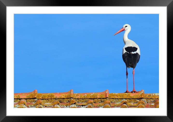 Stork on a Barn Roof Framed Mounted Print by Roz Collins