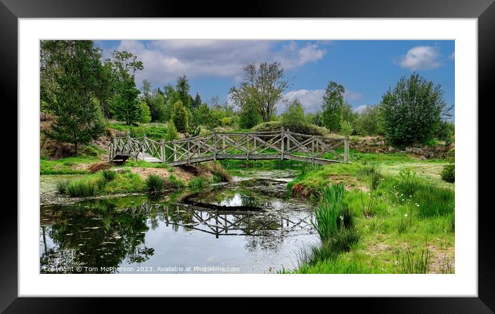 Tranquility in Nature at Burgie Loch Framed Mounted Print by Tom McPherson