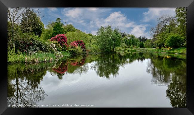 Reflections of Rhododendrons Framed Print by Tom McPherson