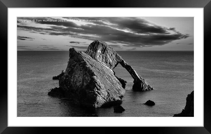 Serenity Amidst Nature's Monochrome Symphony Framed Mounted Print by Tom McPherson