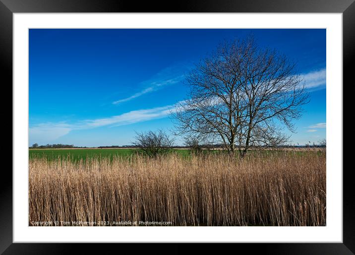 Enchanting Duffus Castle Grounds: A Timeless Scott Framed Mounted Print by Tom McPherson