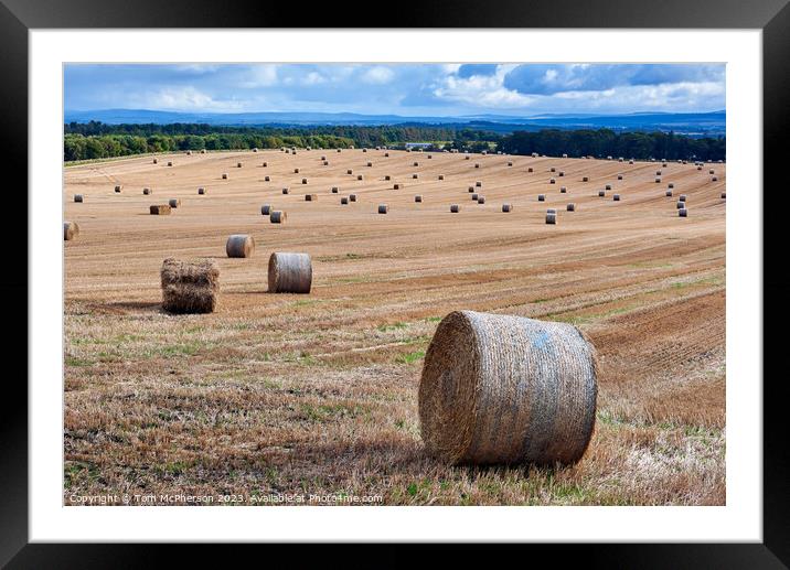 Harvest's Echo in Moray Framed Mounted Print by Tom McPherson