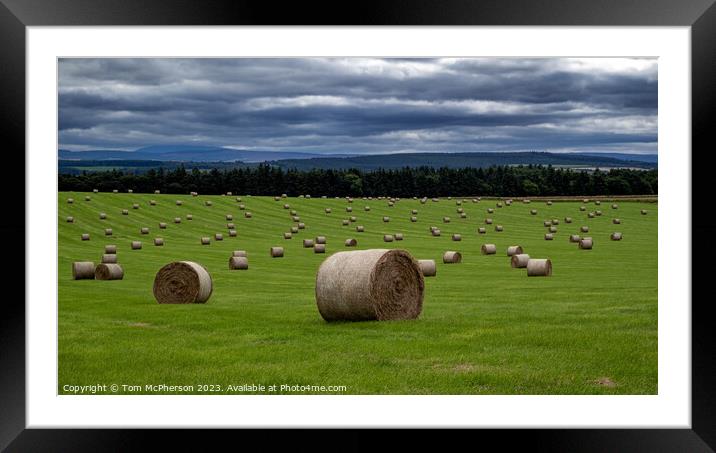 Harvested Treasures in Moray Countryside Framed Mounted Print by Tom McPherson