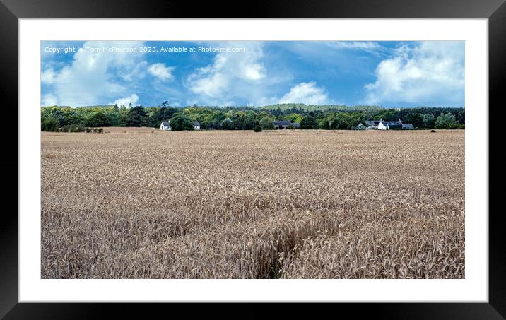Harvest Time in Duffus Framed Mounted Print by Tom McPherson