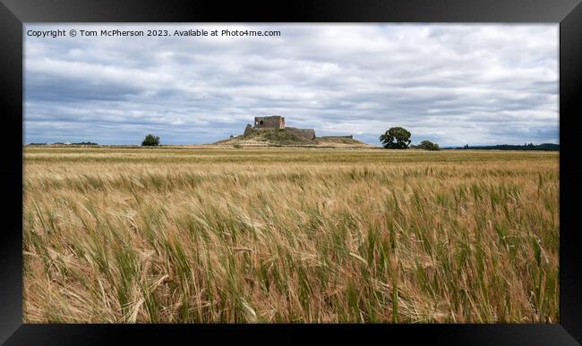 Duffus Castle amidst Golden Wheat Field Framed Print by Tom McPherson
